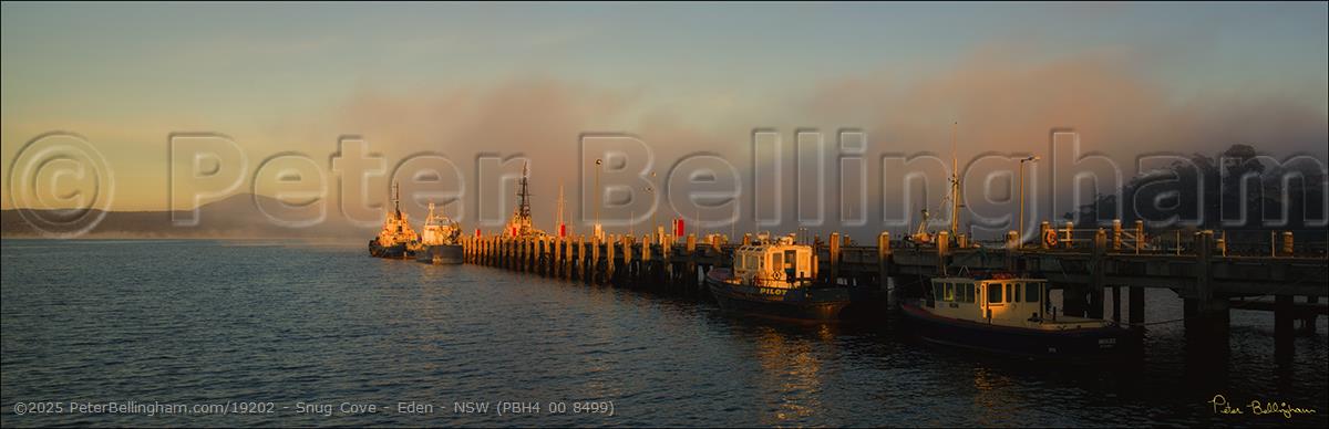 Peter Bellingham Photography Snug Cove - Eden - NSW (PBH4 00 8499)